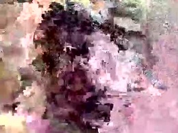 Screen Grab from 111passion111