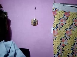 Screen Grab from 34tigresmx