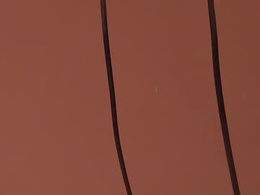 Screen Grab from _aleja_x