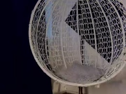 Screen Grab from _daisy_rose