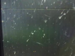 Screen Grab from adiraxo