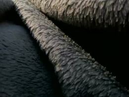 Screen Grab from adventurerjura
