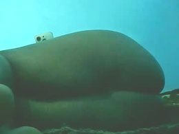 Screen Grab from africangal6677