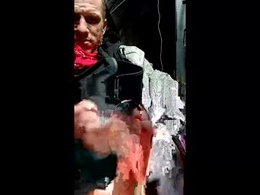 Screen Grab from alagatorsnappnturtle671235