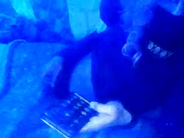 Screen Grab from aless_lorraines