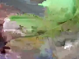Screen Grab from alexandra5345