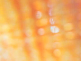 Screen Grab from angeles_blue23