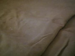 Screen Grab from anusloge