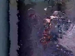 Screen Grab from apollodams