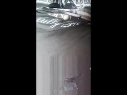 Screen Grab from aubeldustan1