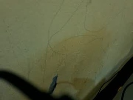 Screen Grab from bashcara
