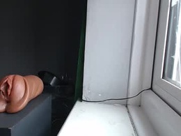 Screen Grab from bbc_sim