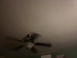 Screen Grab from bbrowncock85