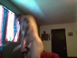 Screen Grab from bedelllw