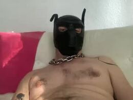 Screen Grab from berlin_pup