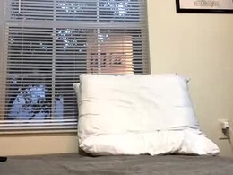 Screen Grab from bfan1