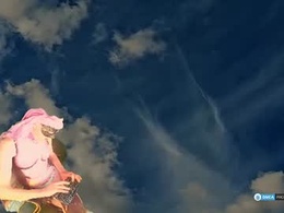 Screen Grab from bfem