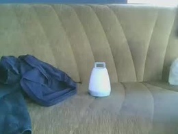 Screen Grab from bidoc74