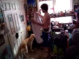 Screen Grab from bigboy777c