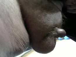 Screen Grab from bigeoo76
