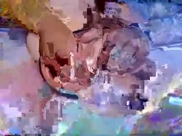 Screen Grab from bigpoiso
