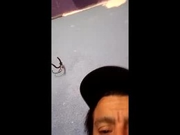 Screen Grab from blue17562