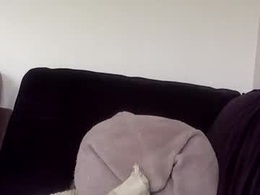 Screen Grab from blueeyesbig86