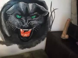 Screen Grab from blueskysierra