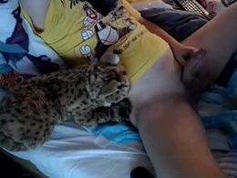 Screen Grab from bobkitty