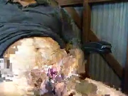 Screen Grab from brissyman101