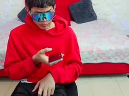 Screen Grab from bros2026