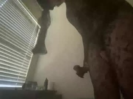 Screen Grab from bruce139