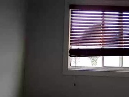 Screen Grab from bulbasaurismettv