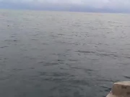 Screen Grab from cam12b1