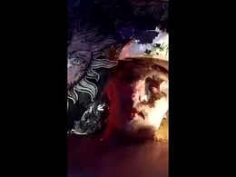 Screen Grab from cam866487