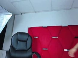 Screen Grab from camilalady