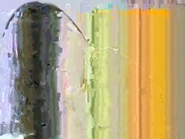 Screen Grab from camilarougee