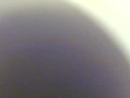 Screen Grab from can1cum4u