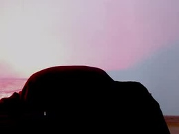 Screen Grab from carlin_diaz_