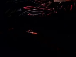 Screen Grab from cbtmancan