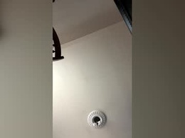 Screen Grab from chico_amante_