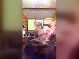 Screen Grab from chzljqzbysno