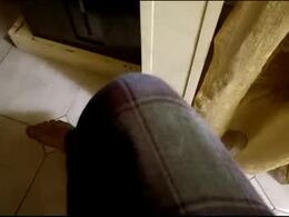 Screen Grab from ciccilli