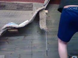 Screen Grab from comeongirlts