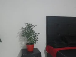 Screen Grab from copbirddog1324