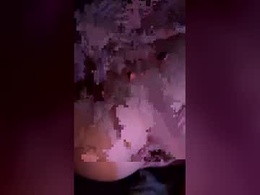 Screen Grab from corals_house