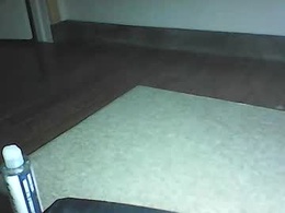 Screen Grab from couple528819