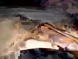 Screen Grab from cumosapien