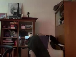 Screen Grab from d836413