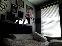 Screen Grab from daddabatman